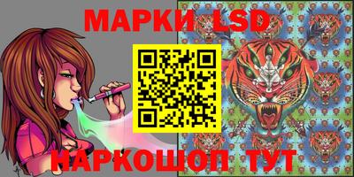 наркотики Будённовск