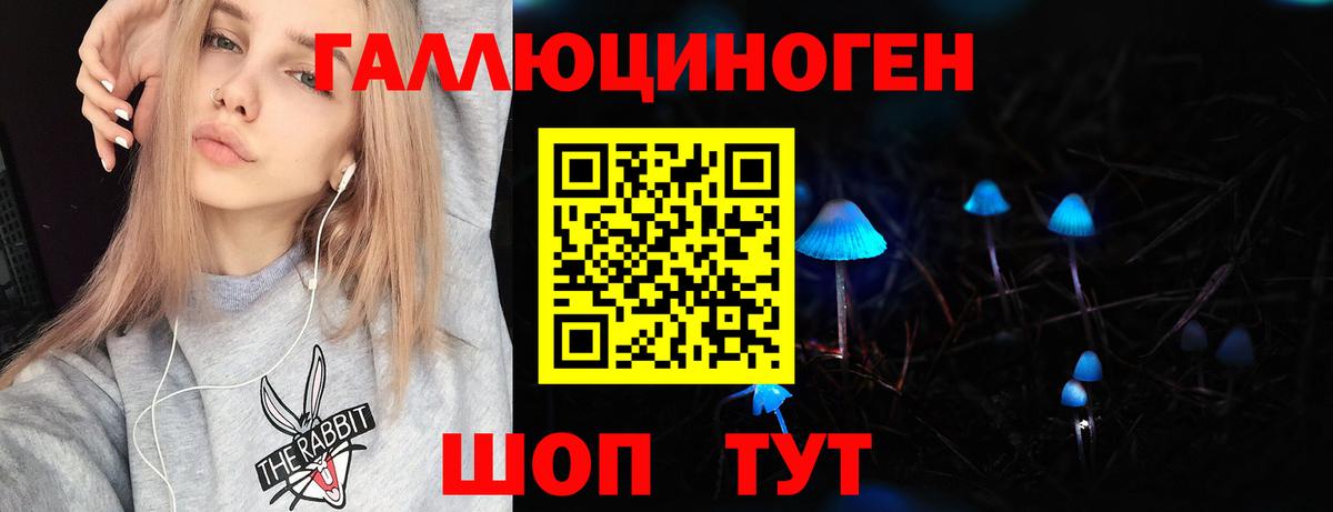 Арзамас  Псилоцибиновые грибы прущие грибы  Вход с VPN 